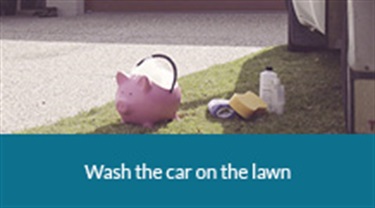 Wash the car on the lawn