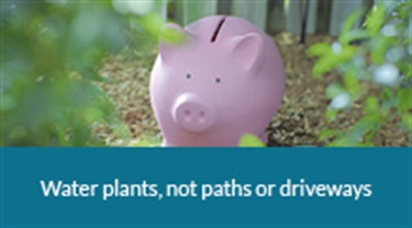 Water plants not, paths or driveways