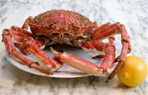 Crab-Cooking-Demo.jpg