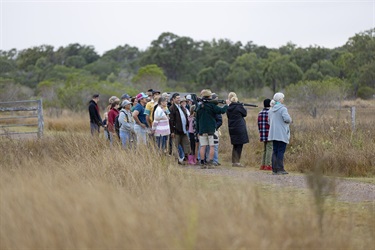 Wetlands-043.jpg