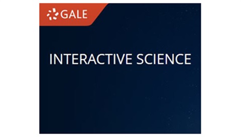 Gale-Interactive