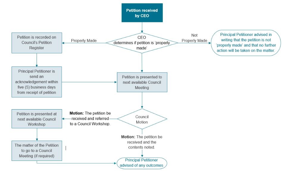 Petition Flowchart.JPG