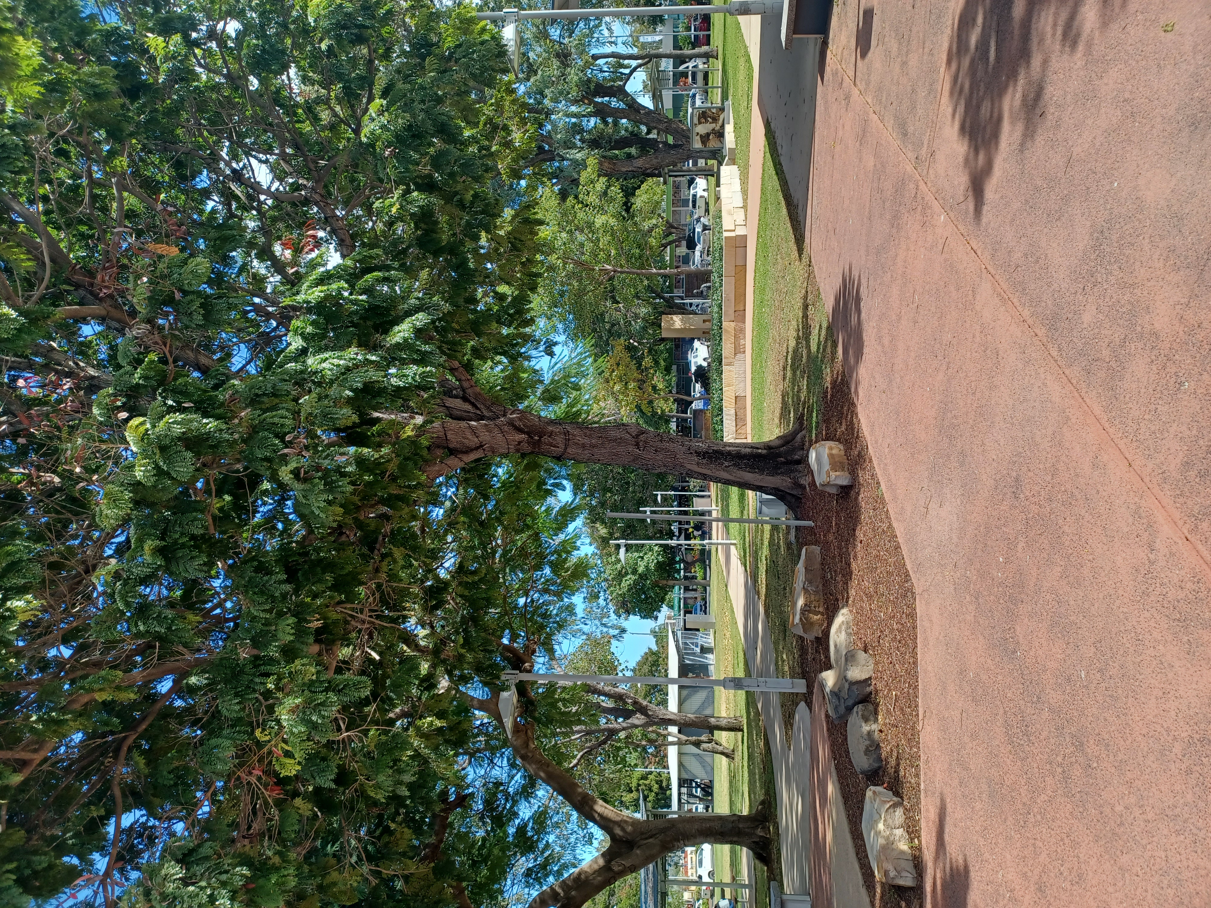 MTS_tree.jpg
