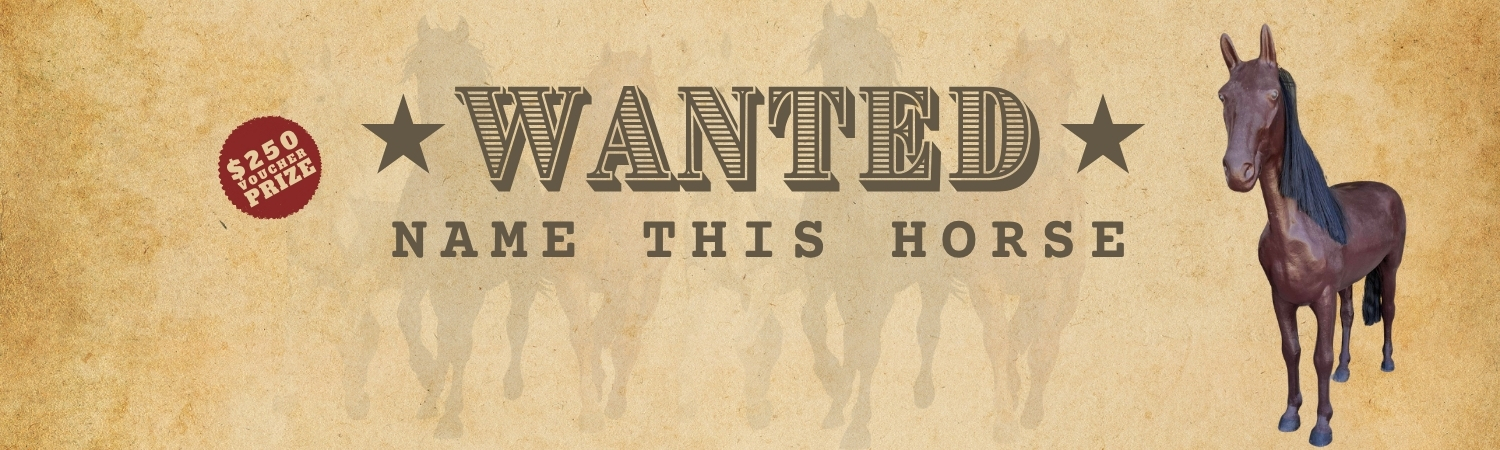 Copy of SPARK BANNER (2).jpg