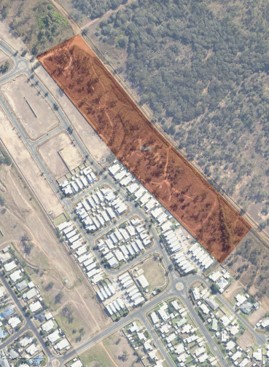 Hazard reduction burn.jpg